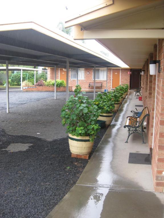 Alfa Motel Gilgandra Εξωτερικό φωτογραφία